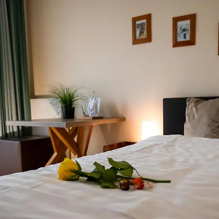 Hotel Am Huntepadd 3*