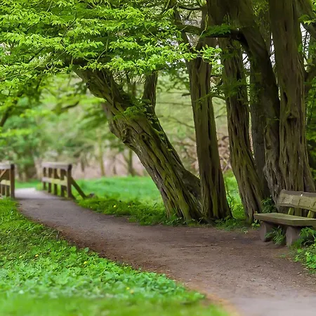 Am Huntepadd Dötlingen