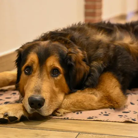 Hotel Am Huntepadd 3*