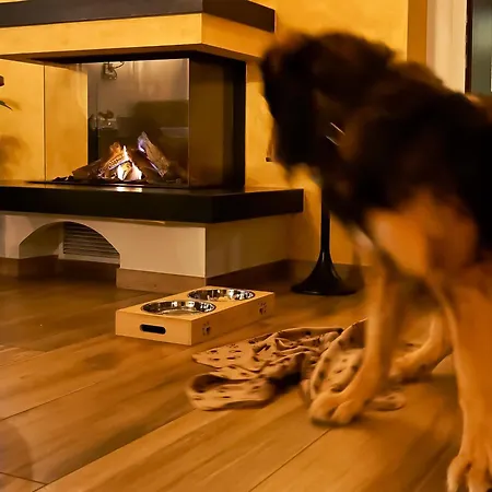 Hotel Am Huntepadd Dötlingen